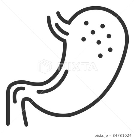 Stomach icon. Digestion human organ in line style 84731024