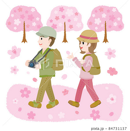 春にお花見をするカップルのイラスト 春にお花見をするカップルのイラスト 84731137
