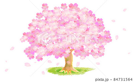 水彩の桜の木と舞う花びら 84731564