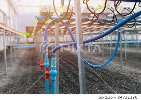 water pipe valve of supply watering system in hydroponic farm plant nursery greenhouse. 84732330