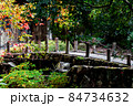 色づき始めた木々と橋 84734632