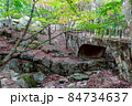 色鮮やかに紅葉した落ち葉に敷き詰められた秋の橋 84734637