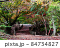 色鮮やかに紅葉した落ち葉に敷き詰められた秋の道と橋 84734827