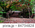 色鮮やかに紅葉した落ち葉に敷き詰められた秋の道と橋 84734828