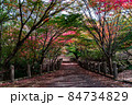 色鮮やかに紅葉した落ち葉に敷き詰められた秋の道と橋 84734829