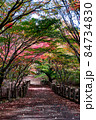 色鮮やかに紅葉した落ち葉に敷き詰められた秋の道と橋 84734830