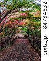 色鮮やかに紅葉した落ち葉に敷き詰められた秋の道と橋 84734832