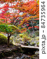 色鮮やかに紅葉したもみじと秋の小川 84735964