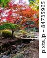 色鮮やかに紅葉したもみじと秋の小川 84735965
