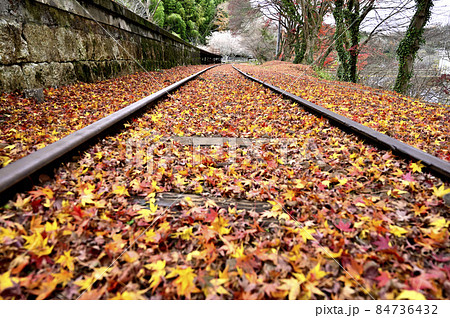 三河広瀬 84736432