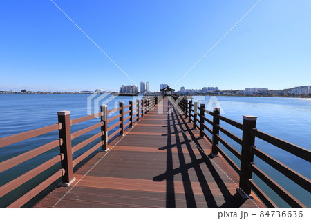 青草湖 展望台 湖 84736636