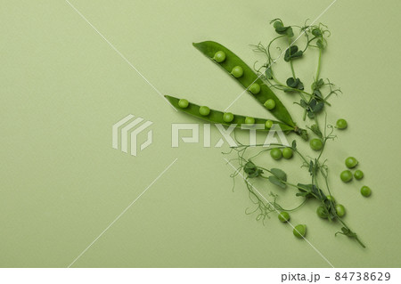Green pea pods, seeds and twigs on green background Green pea pods, seeds and twigs on green background 84738629