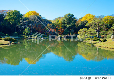 六義園の紅葉と湖面に映える景観 六義園の紅葉と湖面に映える景観 84739811