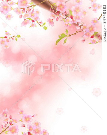 桜の枝と桜舞うピンクの背景フレーム 縦 のイラスト素材