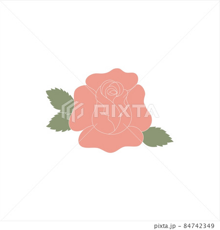 Pink rose flower vector illustration isolated on white backgrpund Pink rose flower vector illustration isolated on white backgrpund 84742349