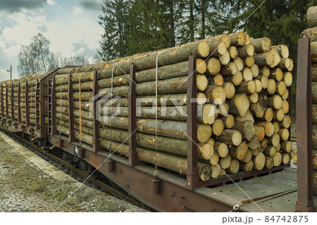 Transport of timber on railway wagons 84742875