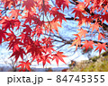 空と紅葉 84745355