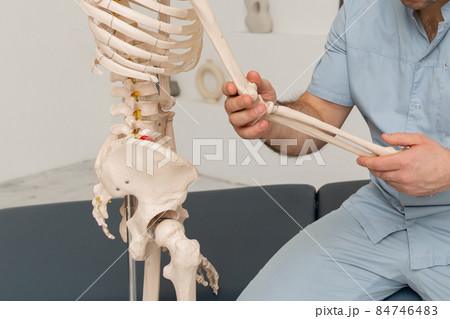 Doctor man pointing on arm of human skeleton anatomical model. Physiotherapist explaining joints model. Chiropractor or osteopath points to the skeleton of human body. Bones anatomy close up. 84746483
