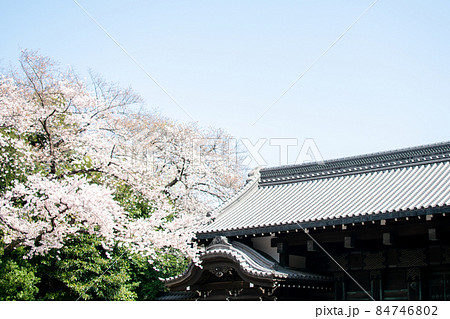 旧因州池田屋敷表門前/東京都台東区 旧因州池田屋敷表門前/東京都台東区 84746802