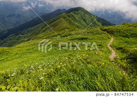 朝日連峰・竜門山への登りから見下ろす日暮沢への登山道 84747534
