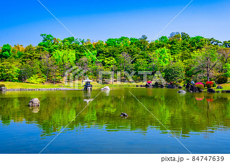 新緑の万博公園の日本庭園 84747639