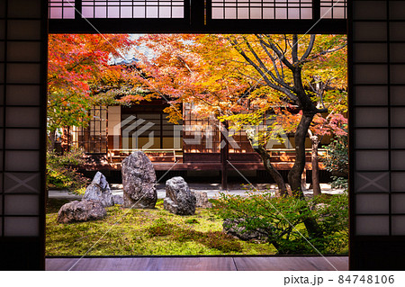 秋の京都　建仁寺　潮音庭 84748106