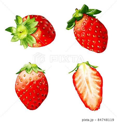手描き水彩のイチゴイラストセットのイラスト素材