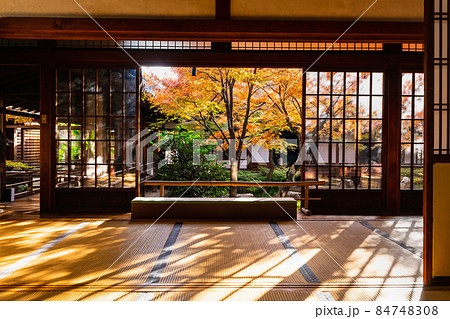 秋の京都　建仁寺　潮音庭 84748308