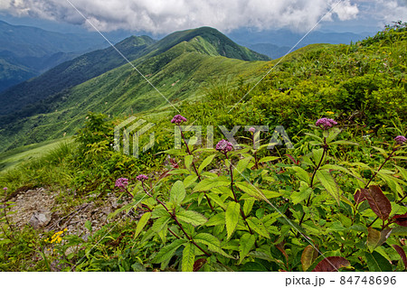 朝日連峰・竜門山から見下ろす日暮沢への登山道 84748696