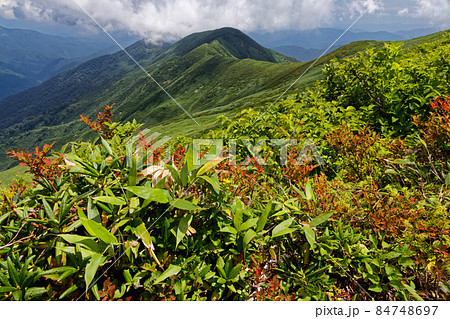 朝日連峰・竜門山から見下ろす日暮沢への登山道 84748697