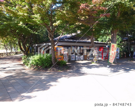 井の頭公園 84748743