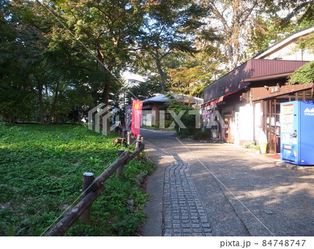 井の頭公園 井の頭公園 84748747