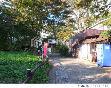 井の頭公園 84748748