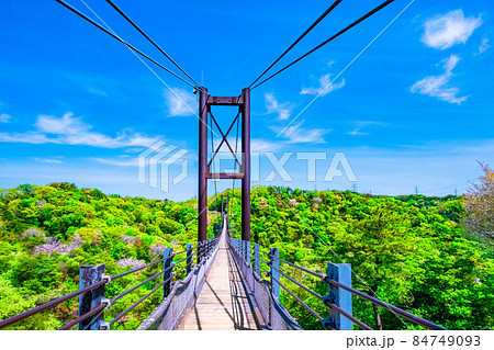 府民の森の新緑と星のブランコ 府民の森の新緑と星のブランコ 84749093