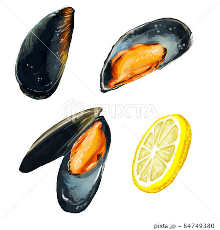 手描き水彩のムール貝とレモンイラストセットのイラスト素材
