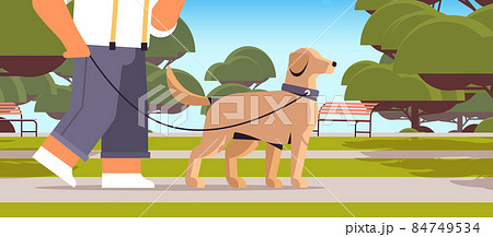 young man walking with dog in park male owner and cute domestic animal friendship with pet concept 84749534