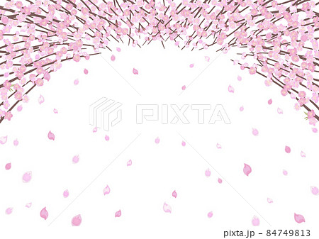 見上げた桃の木 見上げた桃の木 84749813