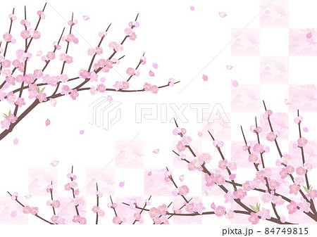 桃の木の背景 桃の木の背景 84749815