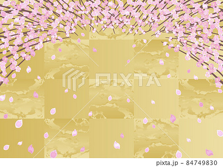 見上げた桃の木 84749830