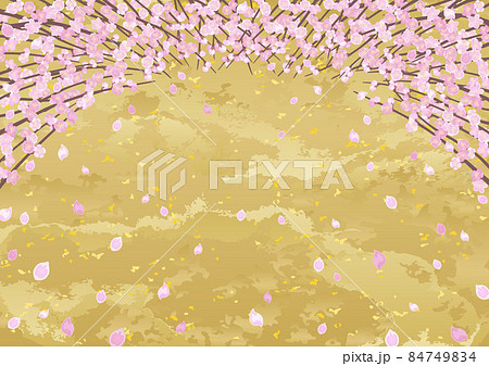 見上げた桃の木 84749834