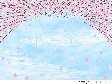 見上げた桃の木 見上げた桃の木 84749838