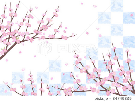 桃の木の背景 桃の木の背景 84749839