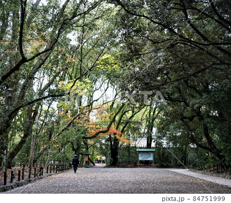 熱田神宮 84751999