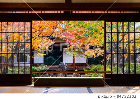 秋の京都　建仁寺　潮音庭 84752302