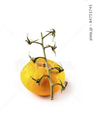 Still life with ripe tangerine and tomato branch 84753745