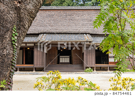 茅葺屋根と庭木 84754461