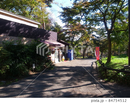 井の頭公園 84754512