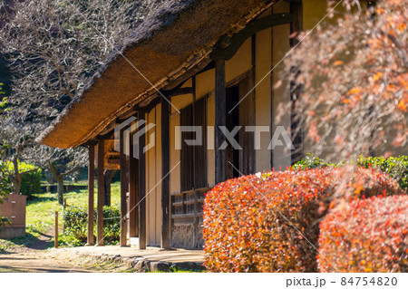 《薬師池公園》旧永井家住宅　紅葉　東京都町田市 84754820