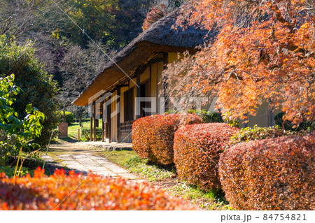 《薬師池公園》旧永井家住宅　紅葉　東京都町田市 84754821