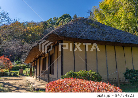 《薬師池公園》旧永井家住宅　紅葉　東京都町田市 84754823